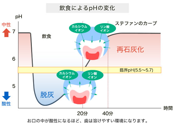 飲食によるpHの変化